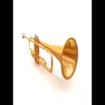 Alarm Loud