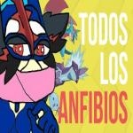 Anfibios