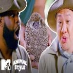 Animal Style