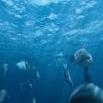 Aquaman Animales