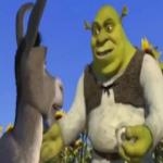 Burrito De Shrek