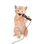 Canto de un gato