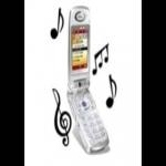 Contesta El Telefono