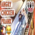 Crazy Chicken