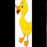 Cuac Pato