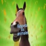 Dos Caballos