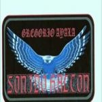 Halcones Galacticos