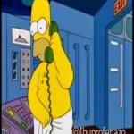 Homero Contesta