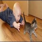 Humor de Bebe