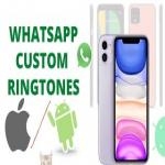 iPhone Whatsapp Sms