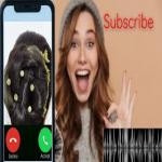 Jabali