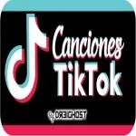 Love TikTok