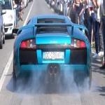 Murcielago