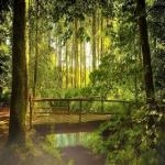 Naturaleza Aire Libre