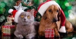Navidad de perros y gatos