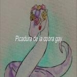 Picadura de la cobra gay