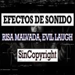 Risa Malvada