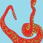 Serpiente Cascabel