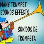 Trompeta