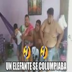 Un Elefante Se Balanceaba