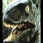 Velociraptor